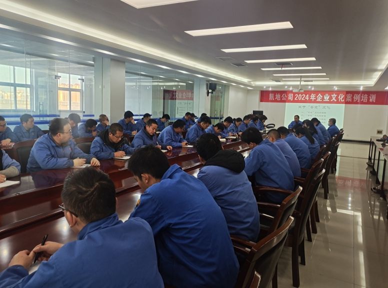 公司持续开展企业文化案例培训